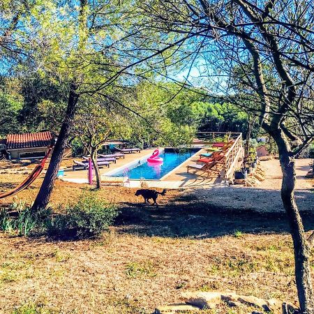 Arche De Noe Atypique, Boheme , Nature, Piscine Chauffee De Paques A Toussaint , Spa , Sauna , Loisirs Ле-Боссе Экстерьер фото
