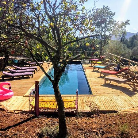 Arche De Noe Atypique, Boheme , Nature, Piscine Chauffee De Paques A Toussaint , Spa , Sauna , Loisirs Ле-Боссе Экстерьер фото